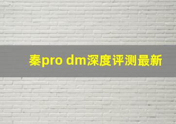 秦pro dm深度评测最新